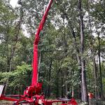 Green Leaf Tree Service - photo 4