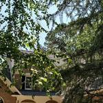 Green Leaf Tree Service - photo 5