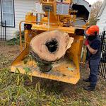 Green Leaf Tree Service - photo 7