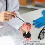 Brainpsychologist - photo 10