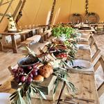 Tribeca Tipis - photo 4