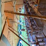 Tribeca Tipis - photo 6