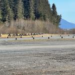 Riptide RV Resort - photo 3