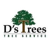 D’s Trees - Tree Services in Pace