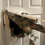 D’s Trees - photo 5