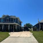 D’s Trees - photo 9