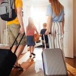 PulseLink Travel LLC - photo 1