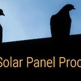 PC Solar Panel Proofing - Solar Panel Installation in Dorchester