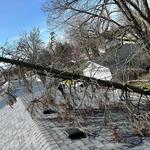 Richie Bros Junk Removal - photo 5