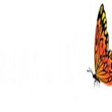 Stages of Life Medical Institute - Medical School in Longwood