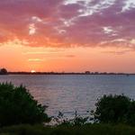 Paradise Palms Property Management - photo 3