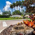 Paradise Palms Property Management - photo 6