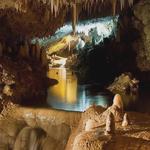 Сole's Cave Barbados - photo 1