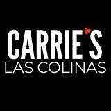 Carrieʻs Pilates Las Colinas - Professional Services in Irving
