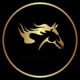 Wild Range Associates - Accountants in Webb City