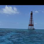 Starfish Snorkeling Tour Marathon FL - photo 1