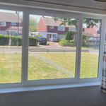 Glitz Windows - photo 2