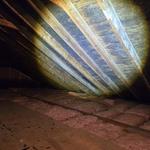 C & J Environmental - photo 3