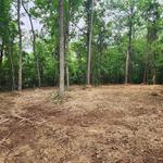 Timberline Excavation - photo 4