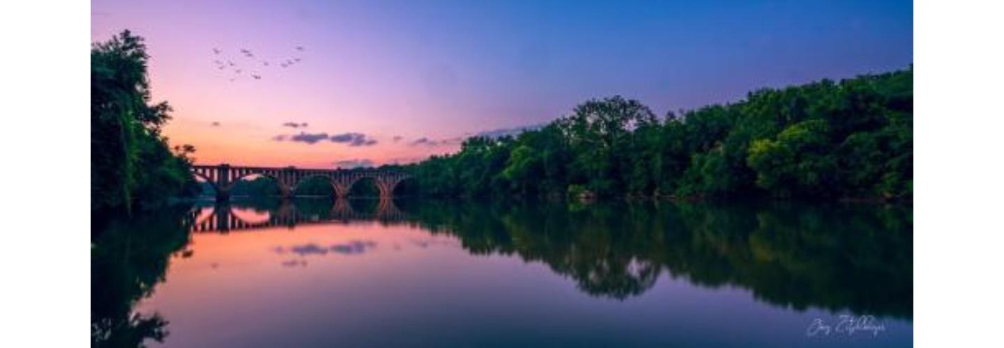 Off Leash K9 Training, Fredericksburg cover photo