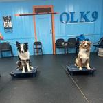 Off Leash K9 Training, Fredericksburg - photo 1