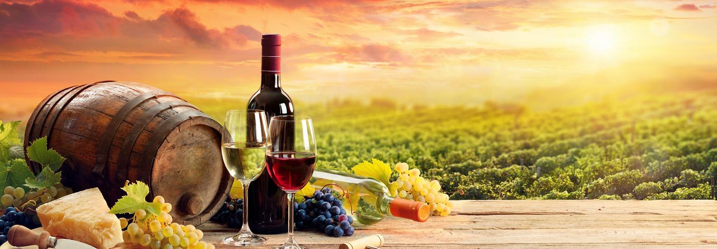 Wineries and Breweries cover photo