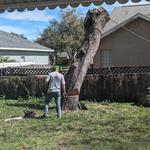 Just Us & Trees - photo 2