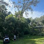 Just Us & Trees - photo 3