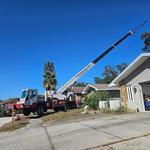 Just Us & Trees - photo 6