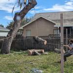 Just Us & Trees - photo 7