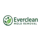 Everclean Mold Removal Of Tampa - Home Services in Tampa