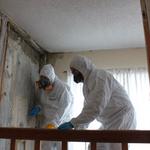 Everclean Mold Removal Of Tampa - photo 3