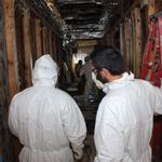 Everclean Mold Removal Of Tampa - photo 6