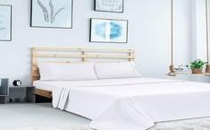 Luxeport Natural Bed & Bath - Business Consulting