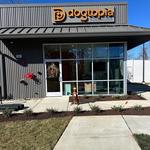 Dogtopia of Farragut - photo 1