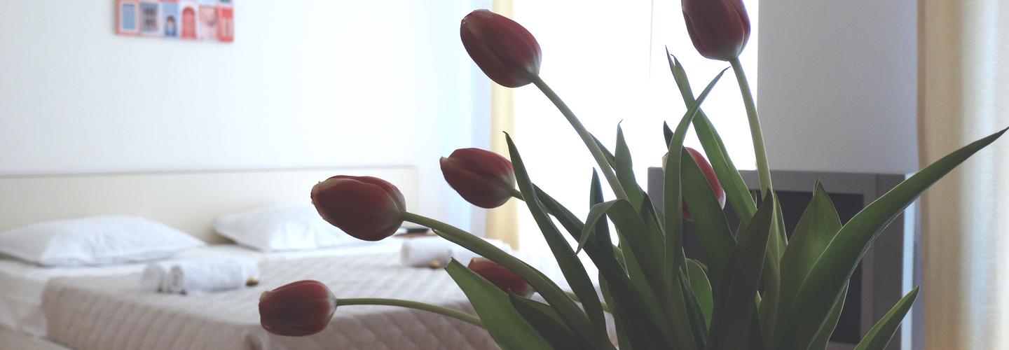 Rainbow 2 Holiday Complex cover photo