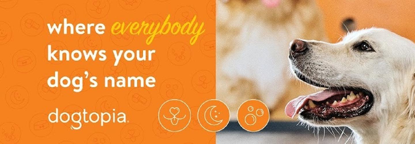 Dogtopia of Norfolk - Ghent cover photo