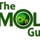 The Mold Guys