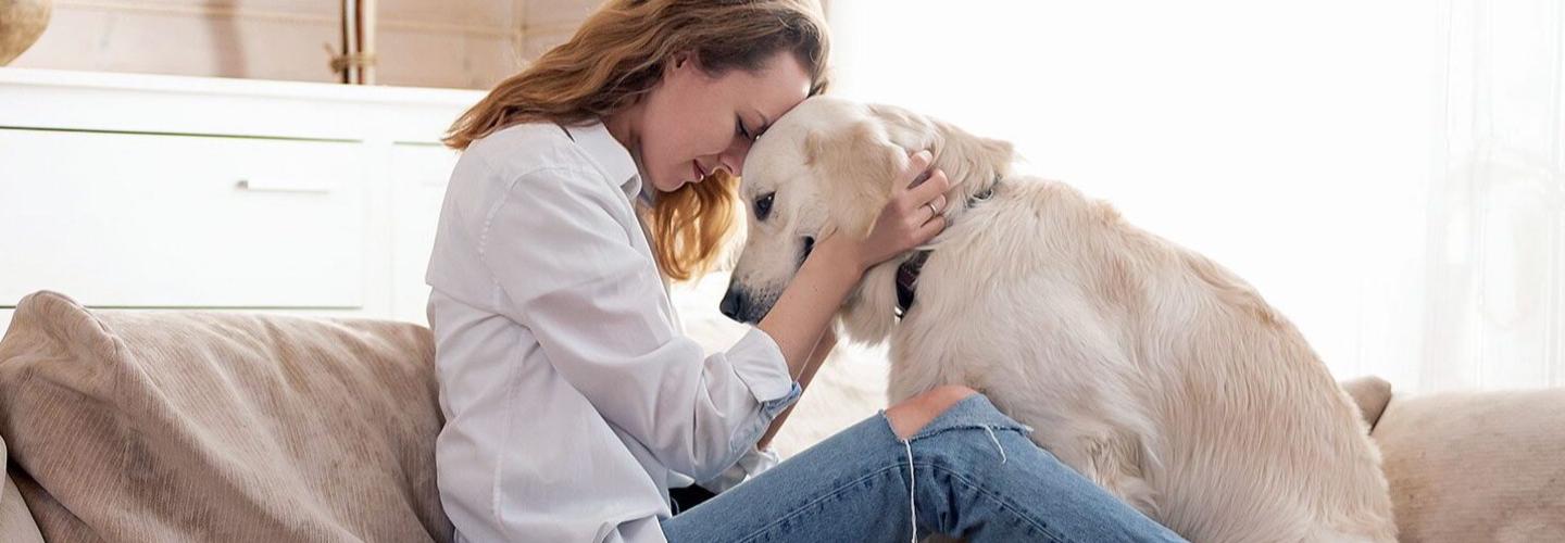 Comfort Paws Vet cover photo