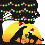 Kainer Vet Hospital - Veterinarians/Vets in Conroe