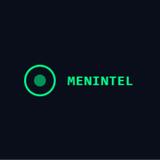 Menintel - Professional Services in Kyiv