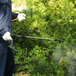 Mantis Pest Solutions - photo 3