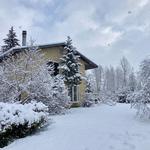 Granny McRae Alaskan Lodge - photo 8