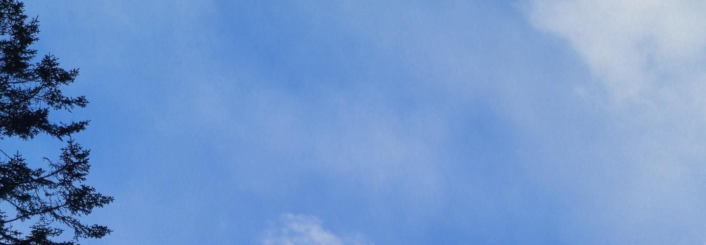 最新约炮信息第1页|安全可靠上门空降约炮|51青楼 cover photo