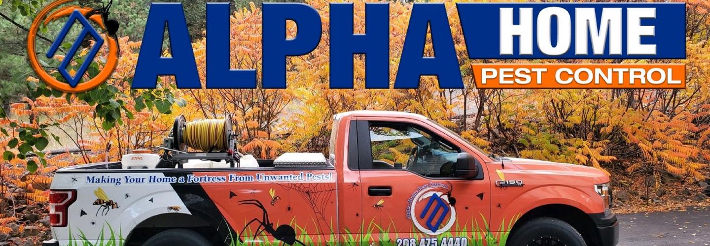 Alpha Home Pest Control cover photo
