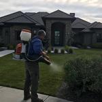 Alpha Home Pest Control - photo 7