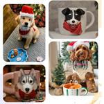 Petsonamade - photo 1