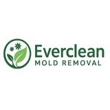Everclean Mold Removal Of West Palm Beach