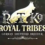 Royal Tribes K9 - Dog Walkers in Hidden Hills