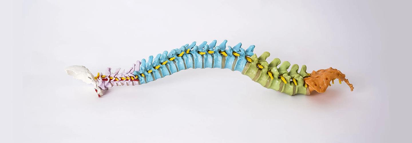 Vert Chiropractic cover photo